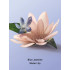 Спрей для тіла та волосся Victoria’s Secret Blue Jasmine Water Lily Hair & Body Mist