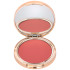Рум'яна Paese SELFGLOW CREAMY MATTE EFFECT Peony Kiss